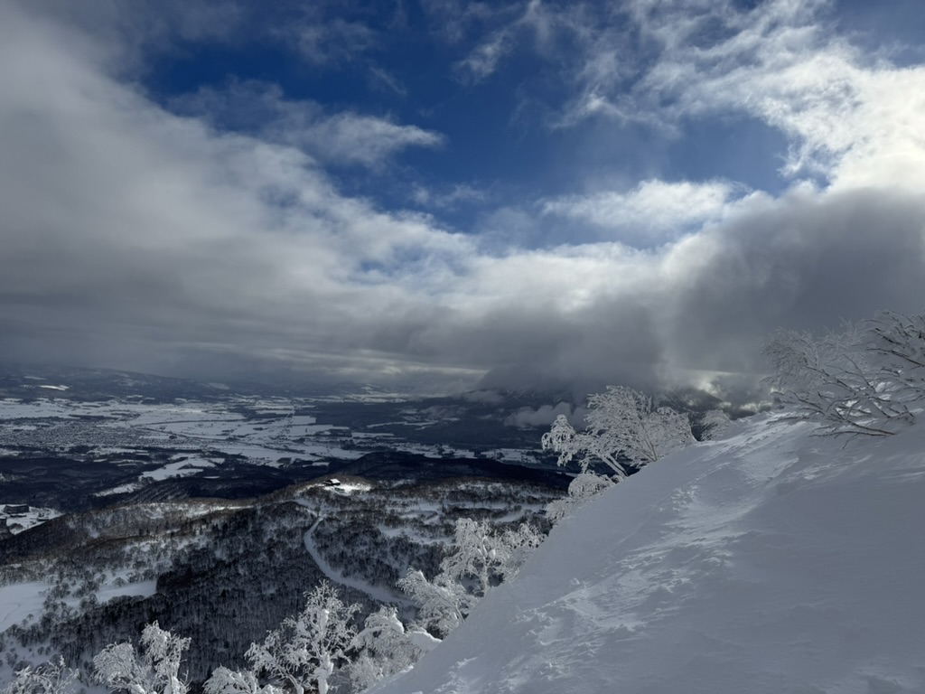 Ski Trip Cover